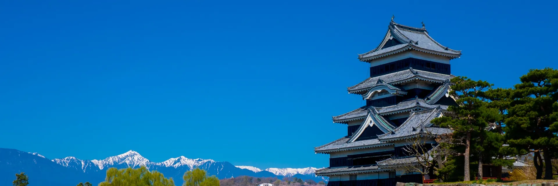 観光情報